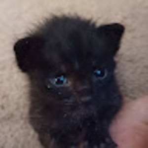 Meet your Posher, Beth